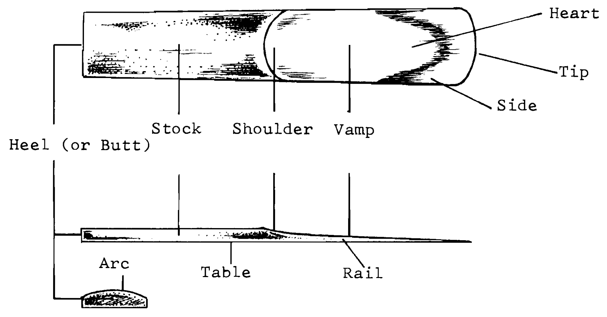 哨片结构示意图